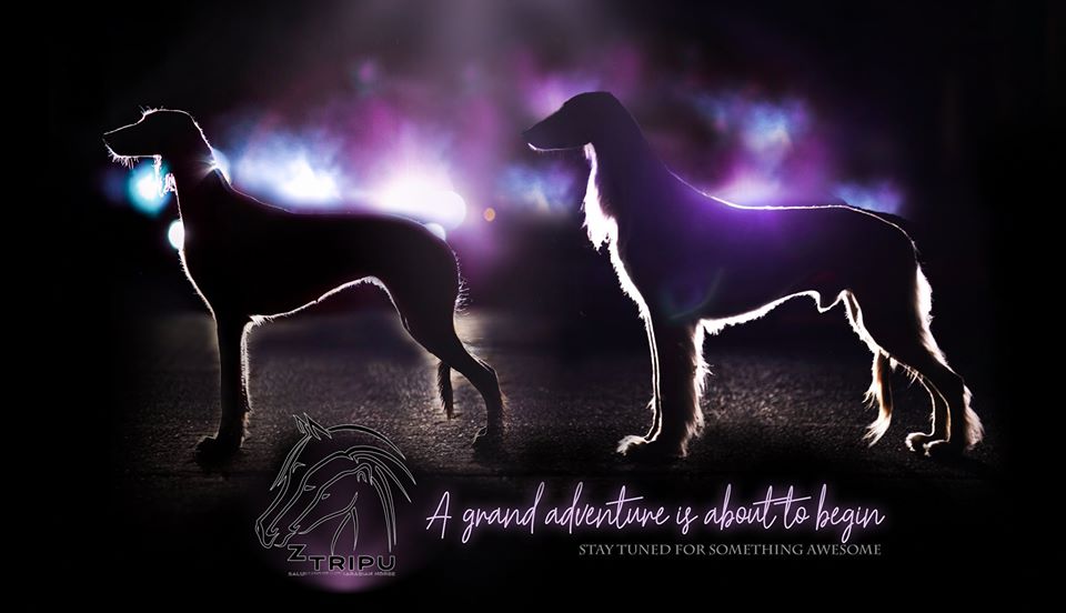 Khyrisma Anistana Avatar At Yaran