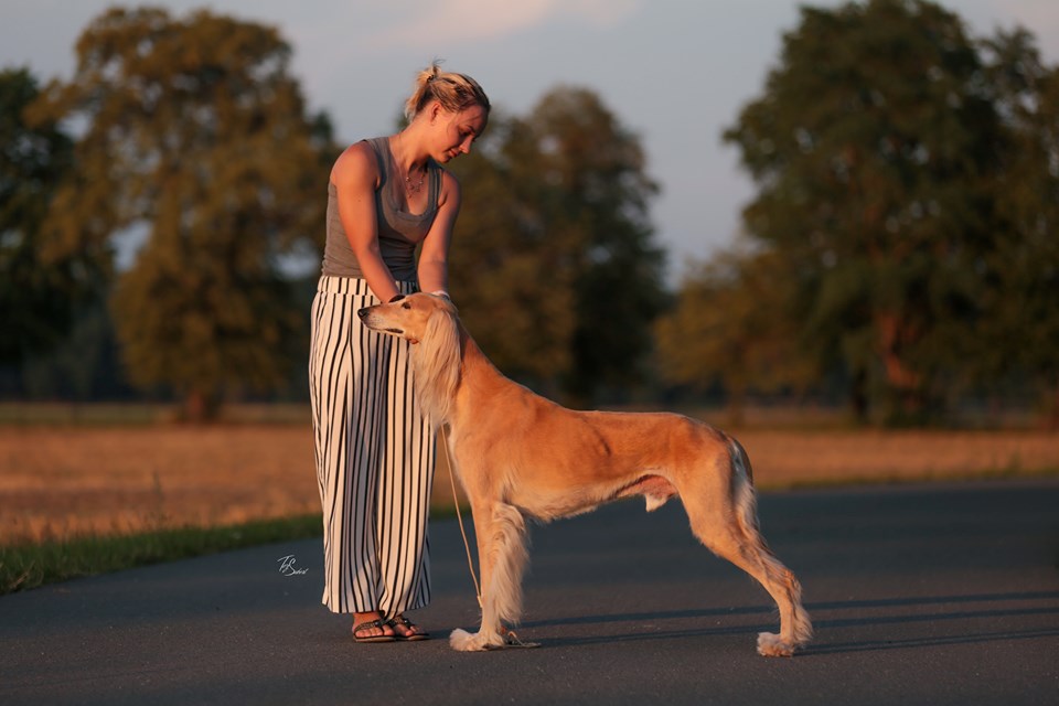 Diva D'Avatar Z Tripu