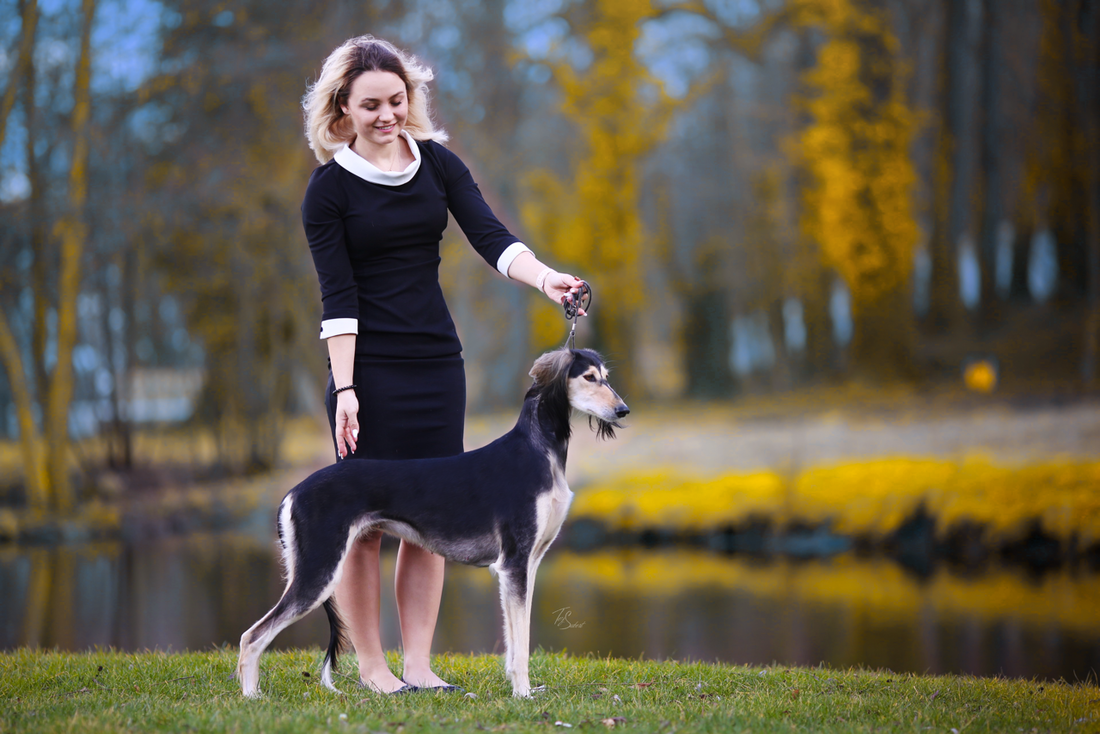 Donatella V. Z Tripu