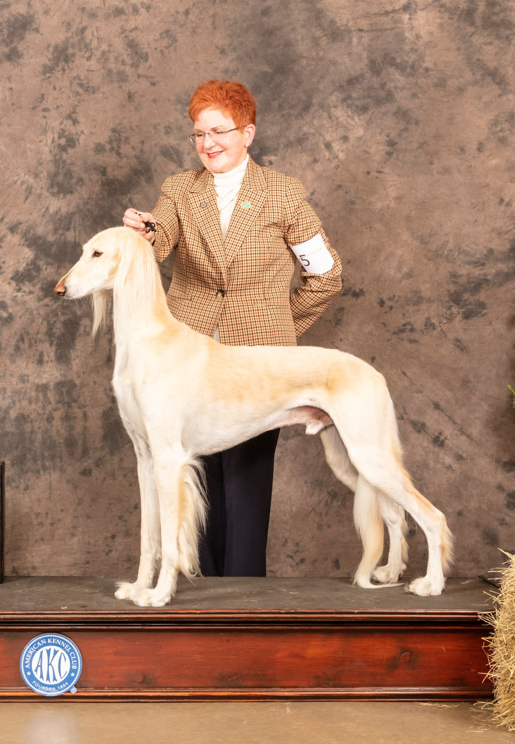 Aurora's Rhytm Of My Heart