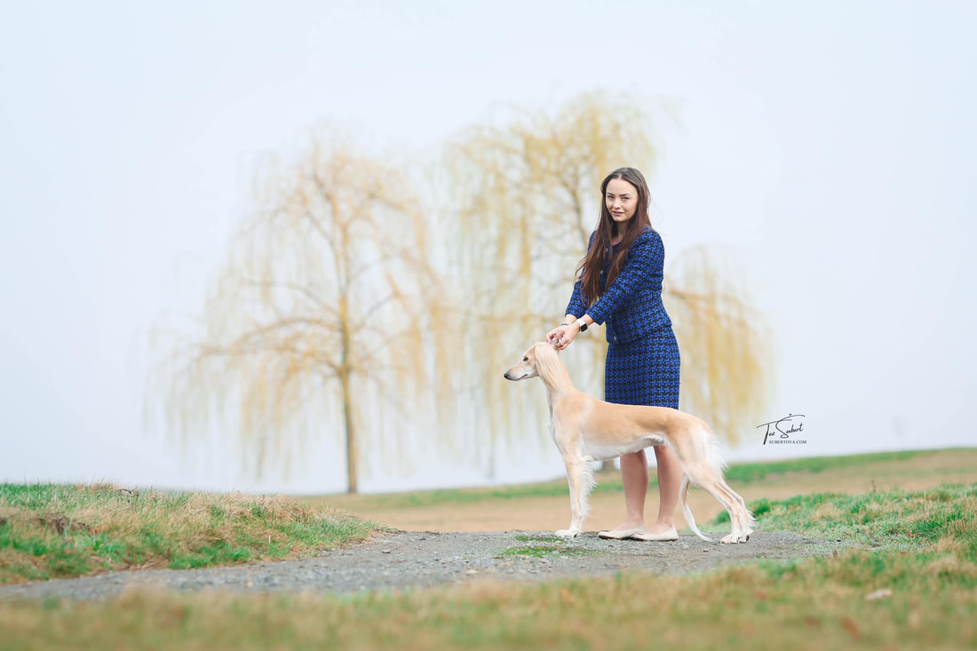 Diva D'Avatar Z Tripu