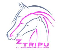Kennel Z Tripu logo