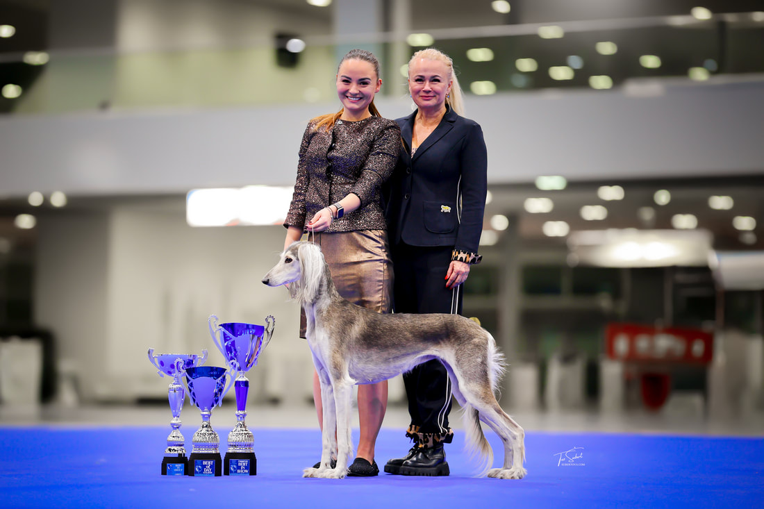 European Dog Show 2025