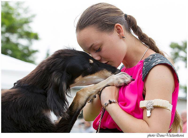 Afire Bey Z Tripu portrait