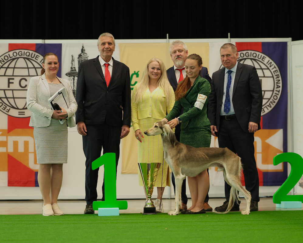 Game Changer Of Aurora Z Tripu