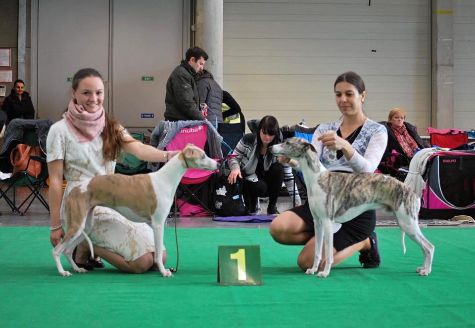 C'harisma 2 years old