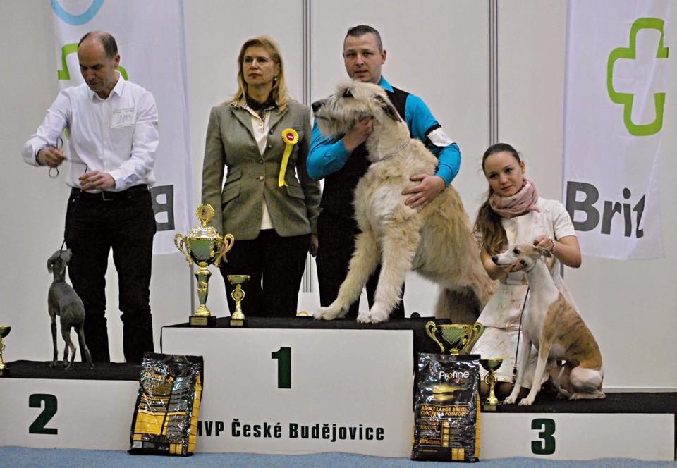 C'harisma 13 months old